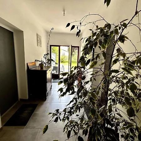 Le République - Avec Jardin Situés En Plein Cœur De Et Proche Des Thermes Appartement *