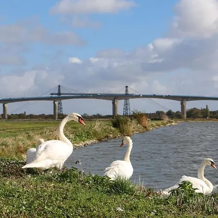Le Republique - Avec Jardin Situes En Plein Coeur De Et Proche Des Thermes Apartman Rochefort