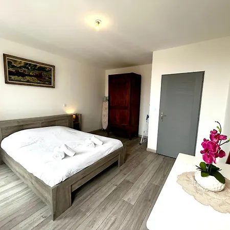 Le République - Avec Jardin Situés En Plein Cœur De Et Proche Des Thermes Appartement Rochefort