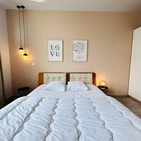 Le République - Avec Jardin Situés En Plein Cœur De Et Proche Des Thermes Appartement *